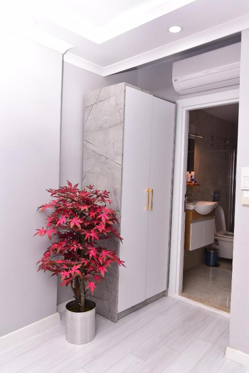 Little sofia hotel - 14