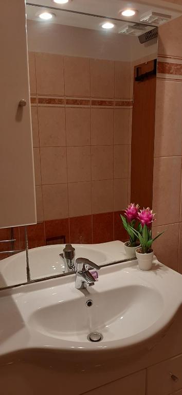 Łazienka w obiekcie Apartment RB