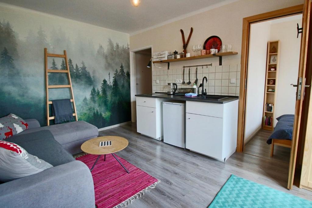a living room with a couch and a kitchen at Apartament BazaTatry Słoneczny II in Zakopane