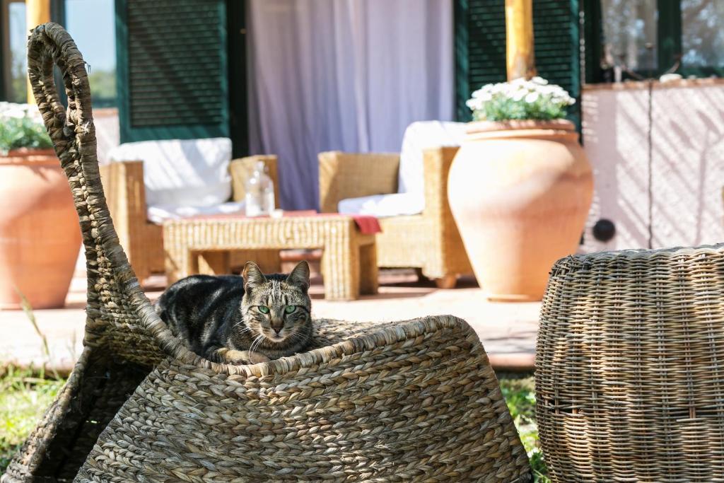 Fotografie z fotogalerie ubytování At Home In Maremma v destinaci Istia dʼOmbrone