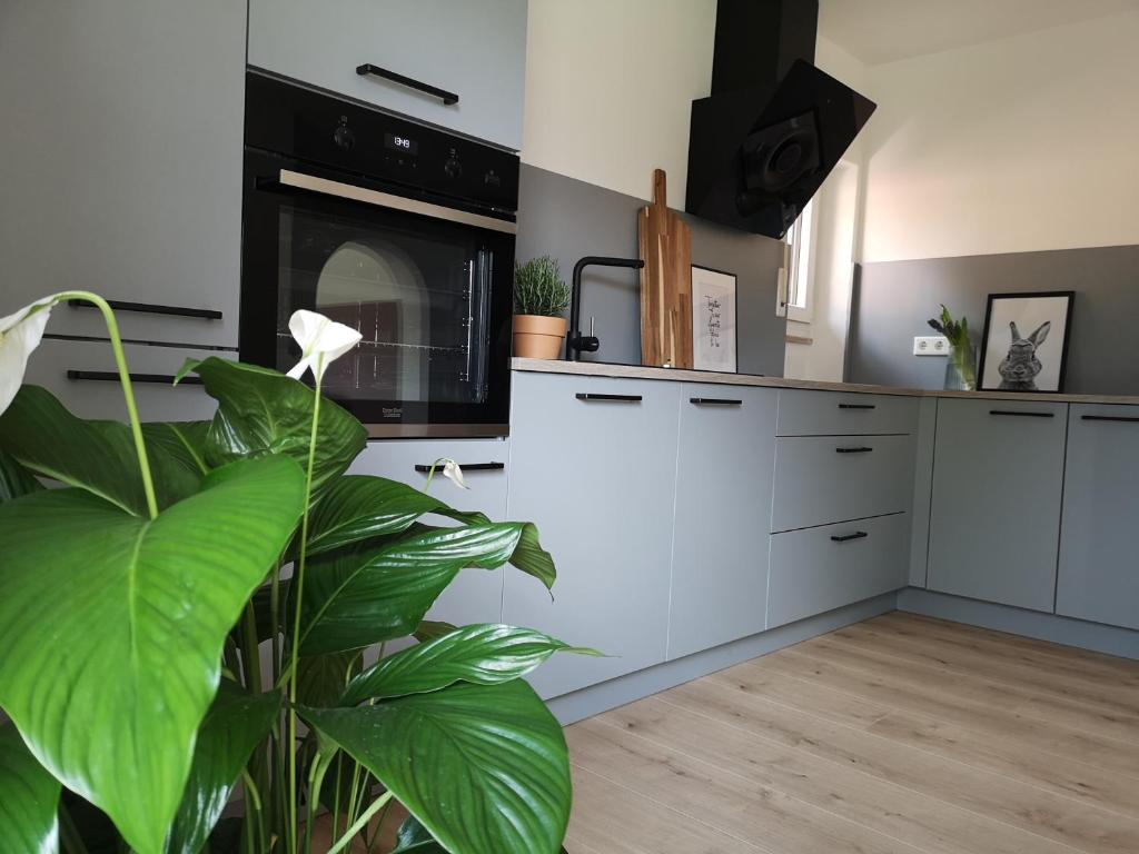 a kitchen with white cabinets and a plant at Haus zur lachenden Lieselotte I 5 Minuten zu Fuß zum kostenlosen Naturbad I Messenähe I Waldnähe in Postbauer-Heng