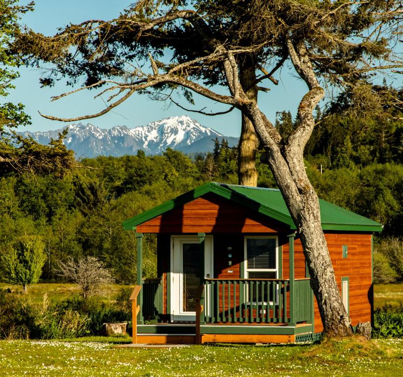 a small cabin with a tree and mountains in the background at Crescent Beach and RV Park in Port Angeles