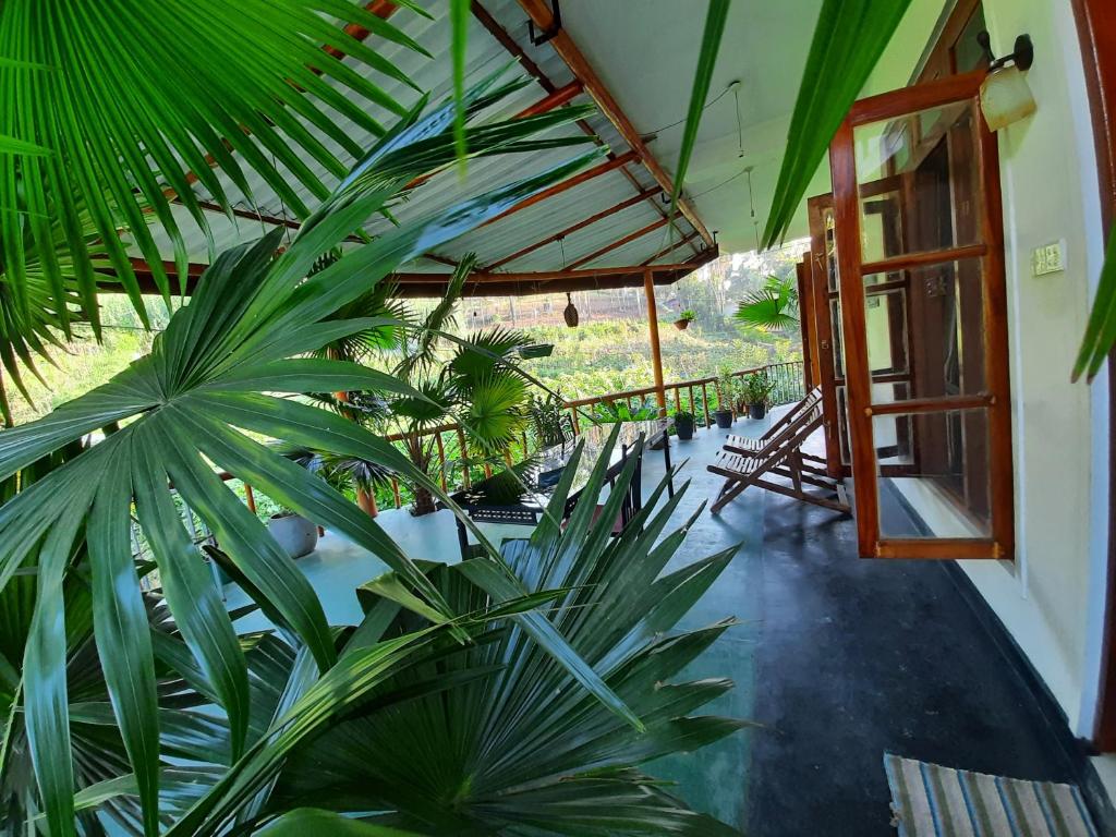 Zahrada ubytování Serenity Homestay