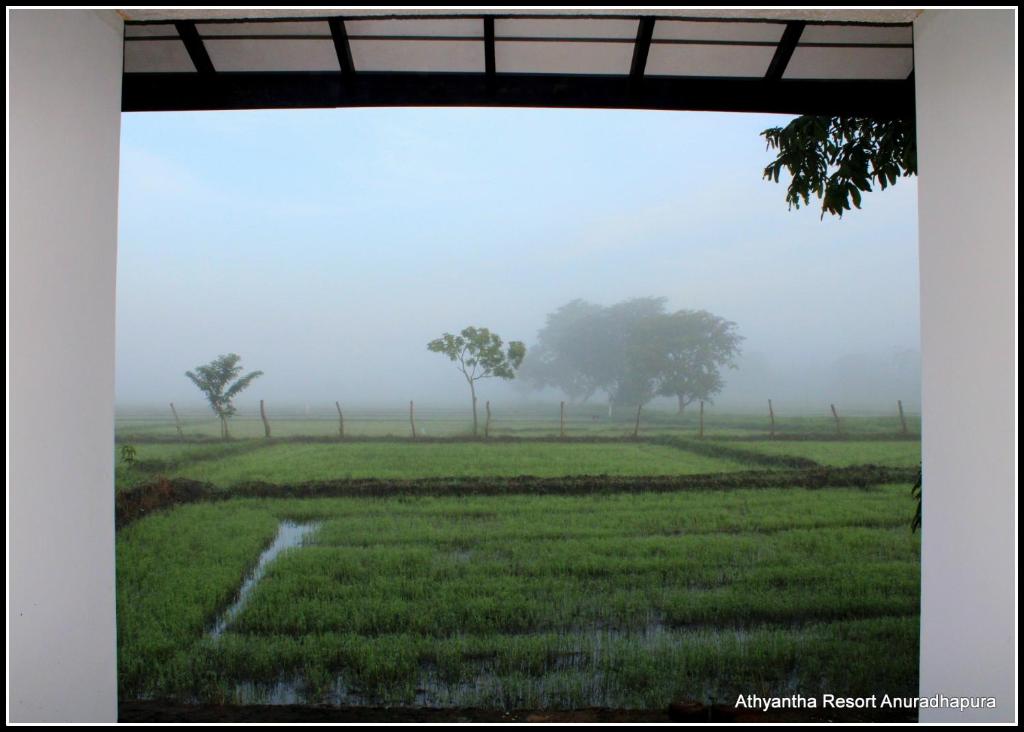 a field in the fog with trees in the background at Athyantha Resort in Anuradhapura