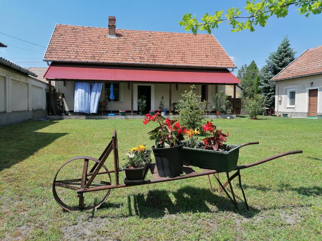 István Vendégház 6782 Mórahalom, Dózsa György utca 10 kép - 1