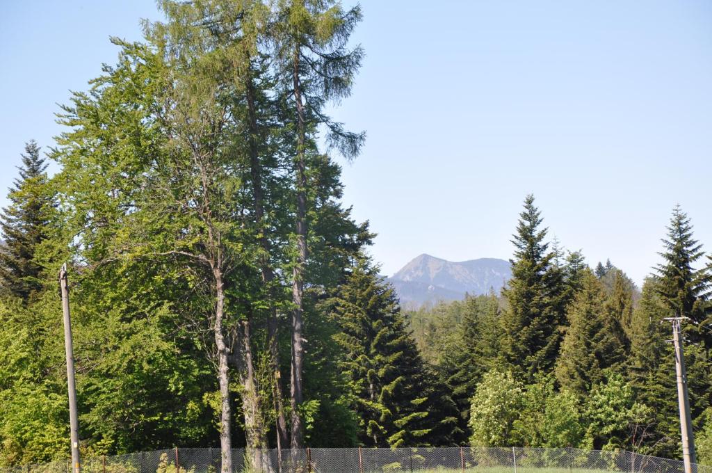 APARTAMENTY "U Bliźniaków" - 17