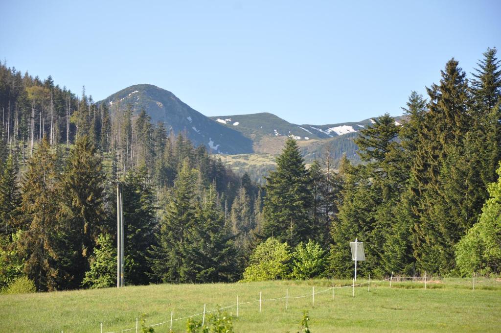 a field with a fence and trees and mountains at APARTAMENTY "U Bliźniaków" in Zakopane