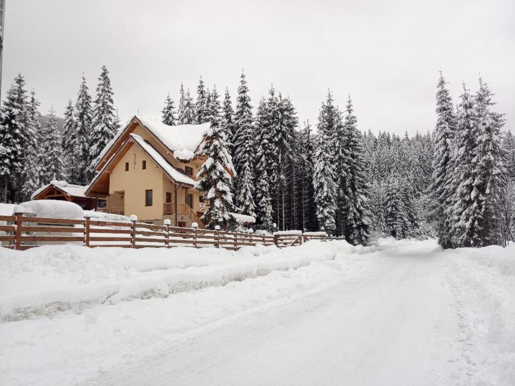 una casa en una carretera cubierta de nieve junto a una valla en Vidra Parc, en Voineasa