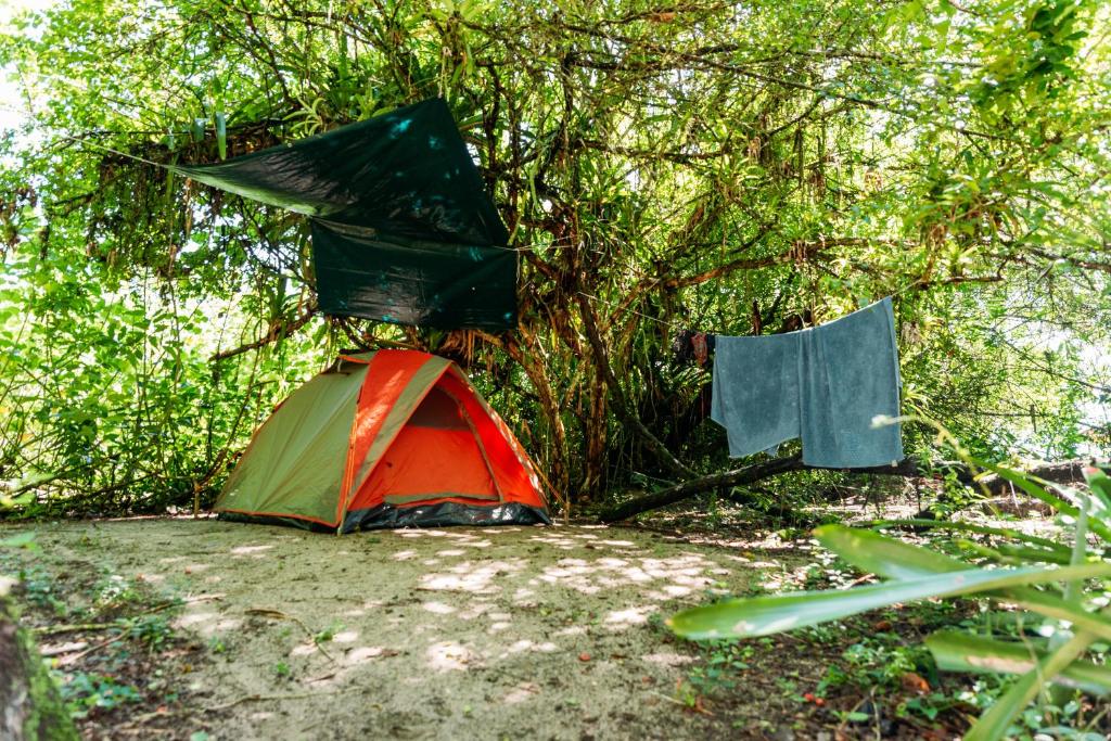  Happy Beach Camping