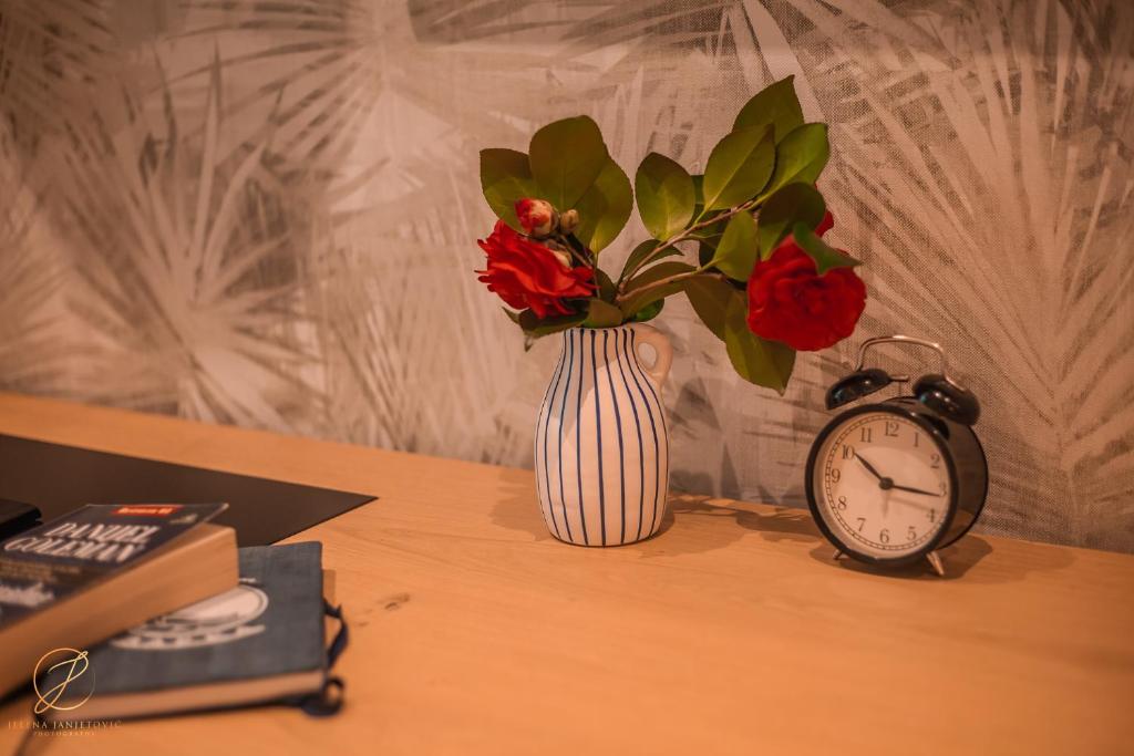 Fotografie z fotogalerie ubytování Barka B'n'B - Elegant Seaview Rooms v destinaci Herceg-Novi