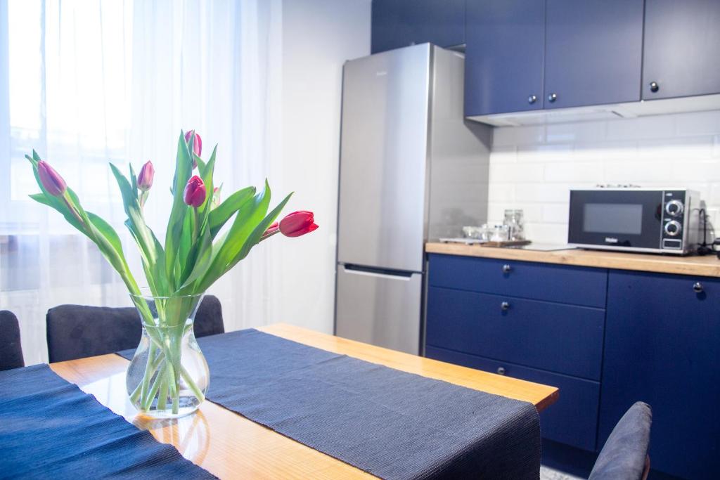 Kuchyň nebo kuchyňský kout v ubytování AL-DOM apartamenty Apartament Stary Park