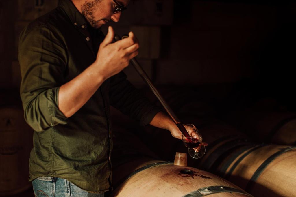 Chambres d'hôte & Gîte Château Le Conte - Saint Emilion - 11