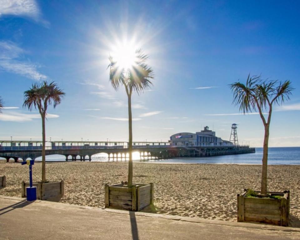 uma praia de areia com palmeiras e um cais em Sofias Flat em Bournemouth