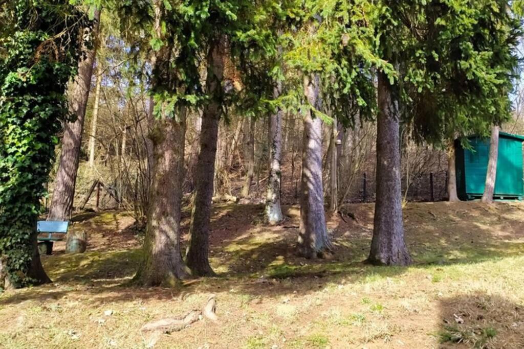 Zahrada ubytování Refugium Klosterhaus Nettersheim