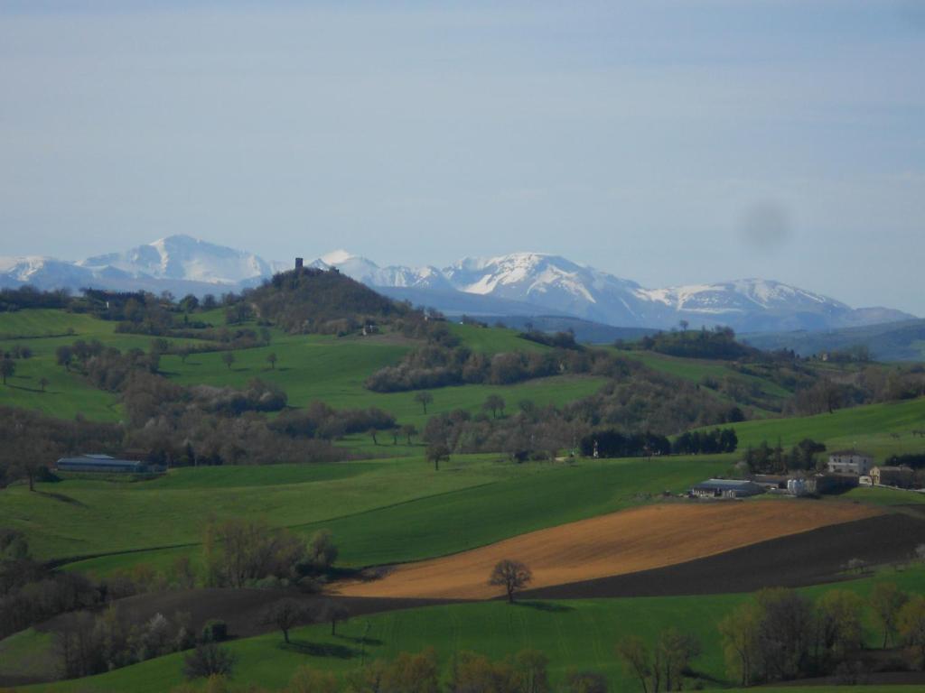 een groen veld met bergen op de achtergrond bij L'Isola Che Non C'era in Apiro
