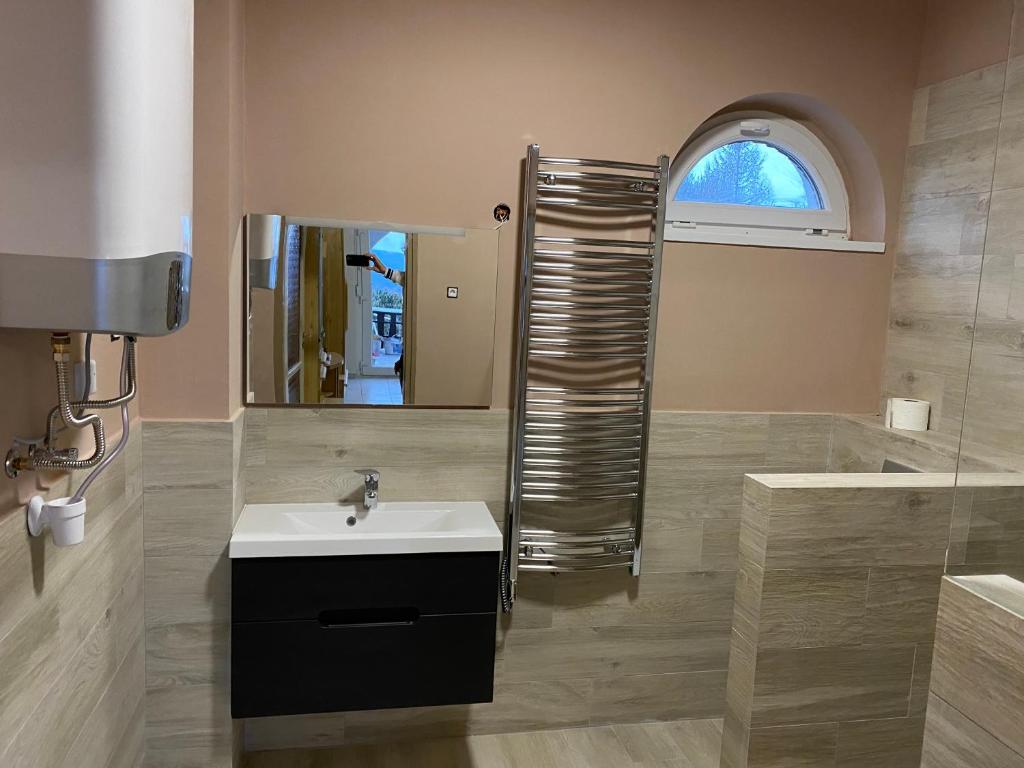 a bathroom with a sink and a mirror at Anita Apartmanház in Orfű
