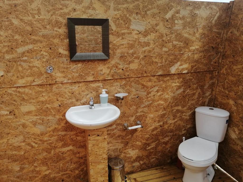 a bathroom with a toilet and a sink at Domo Glamping Kalpavriksha - Jostcolombia in La Vega
