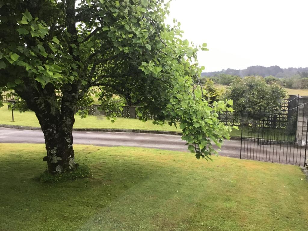 Woodland Glen Lodge B&B - Resim 25