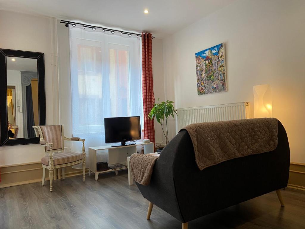 L'Ours de Colmar - Appartements en centre ville – photo 14