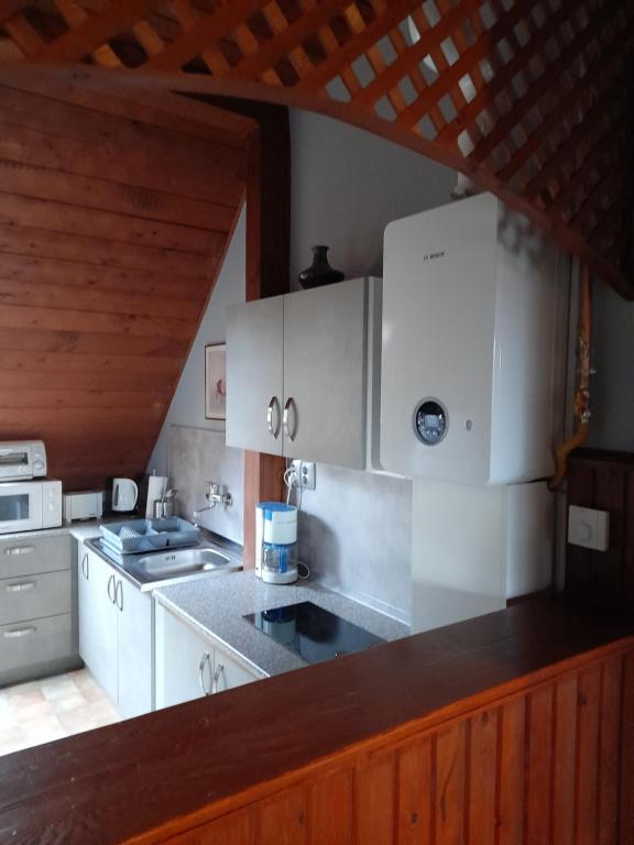 Kuchyň nebo kuchyňský kout v ubytování Agave Apartman