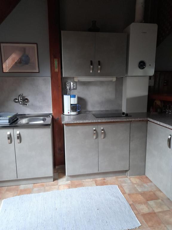 Kuchyň nebo kuchyňský kout v ubytování Agave Apartman
