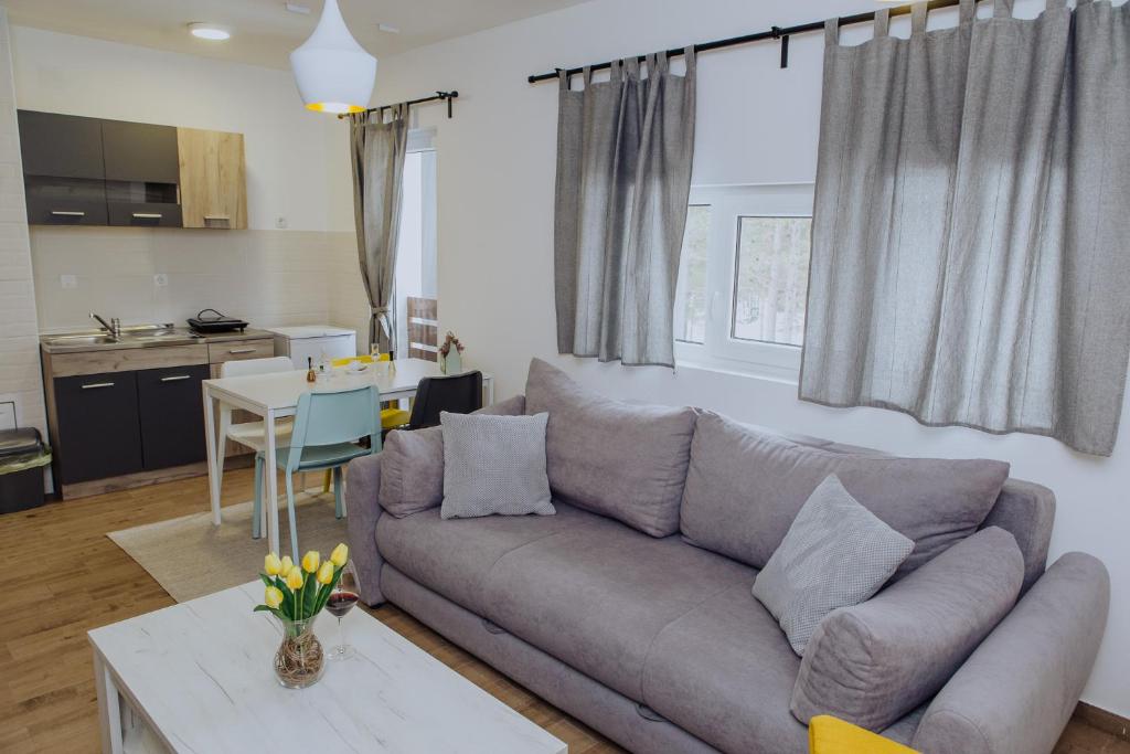 A kitchen or kitchenette at Planinsko srce