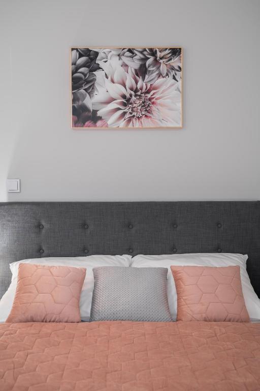 Flow Apartments Toruń - One-Bedroom Apartment