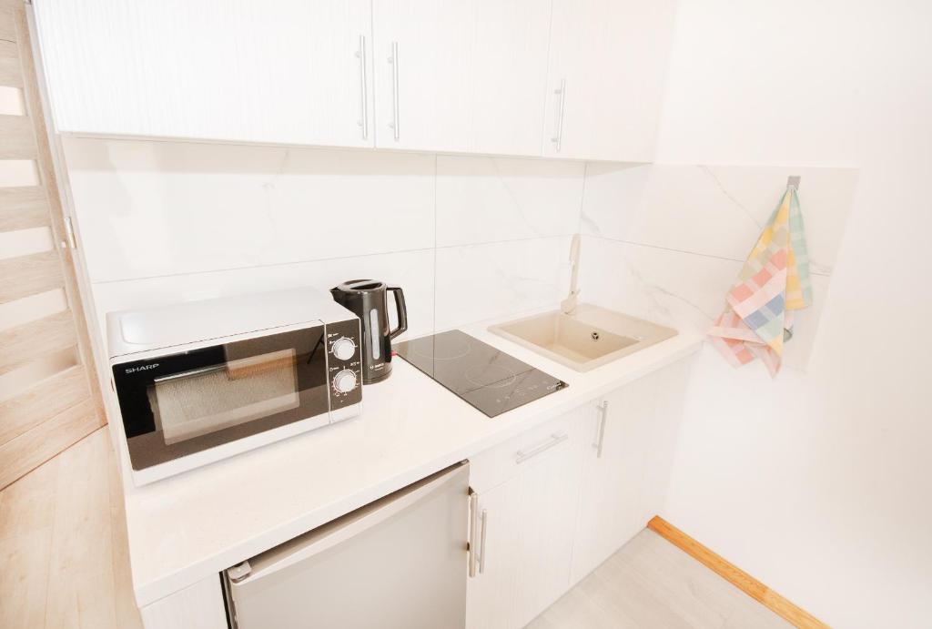 Kuchyň nebo kuchyňský kout v ubytování Baltic Resort