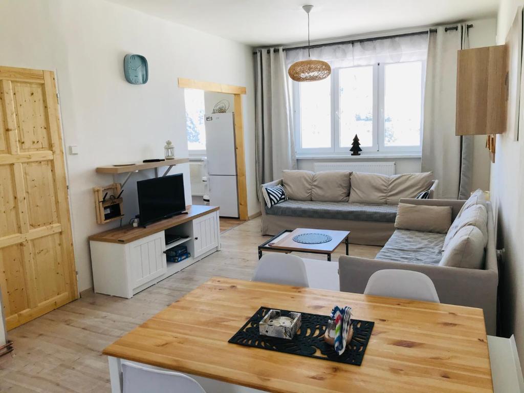 TV a/nebo společenská místnost v ubytování Apartmán Orlické Záhoří
