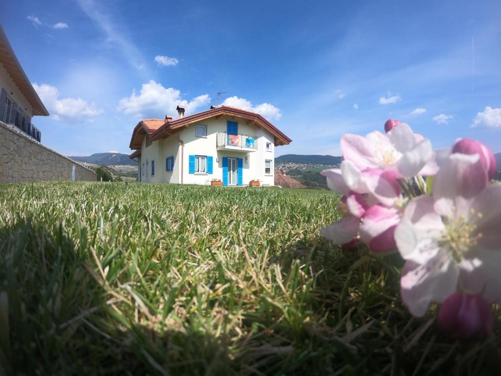 ein Haus auf einem Feld mit Blumen im Gras in der Unterkunft Apartment in NOVELLA 41460 in Brez