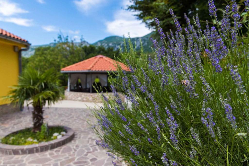 Zahrada ubytování Holiday home in Grizane 39291