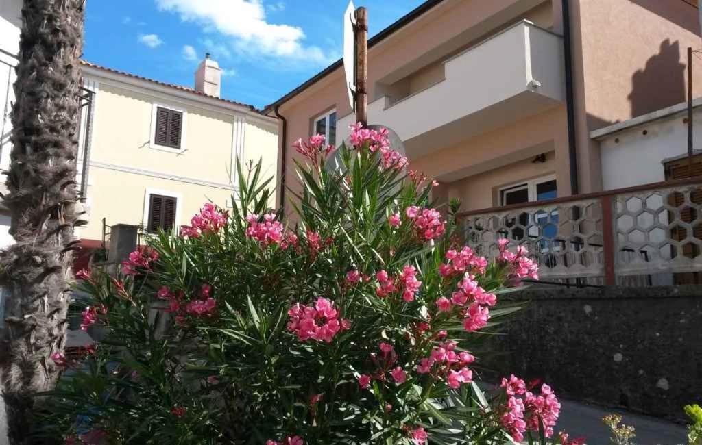 a bush with pink flowers in front of a house at Apartment in Vrbnik/Insel Krk 36872 in Vrbnik