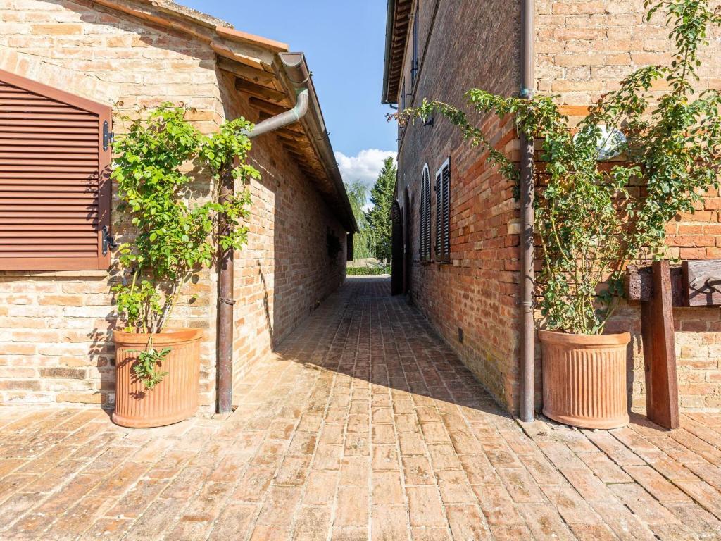 Fotografie z fotogalerie ubytování Farmhouse in Buonconvento v destinaci Buonconvento