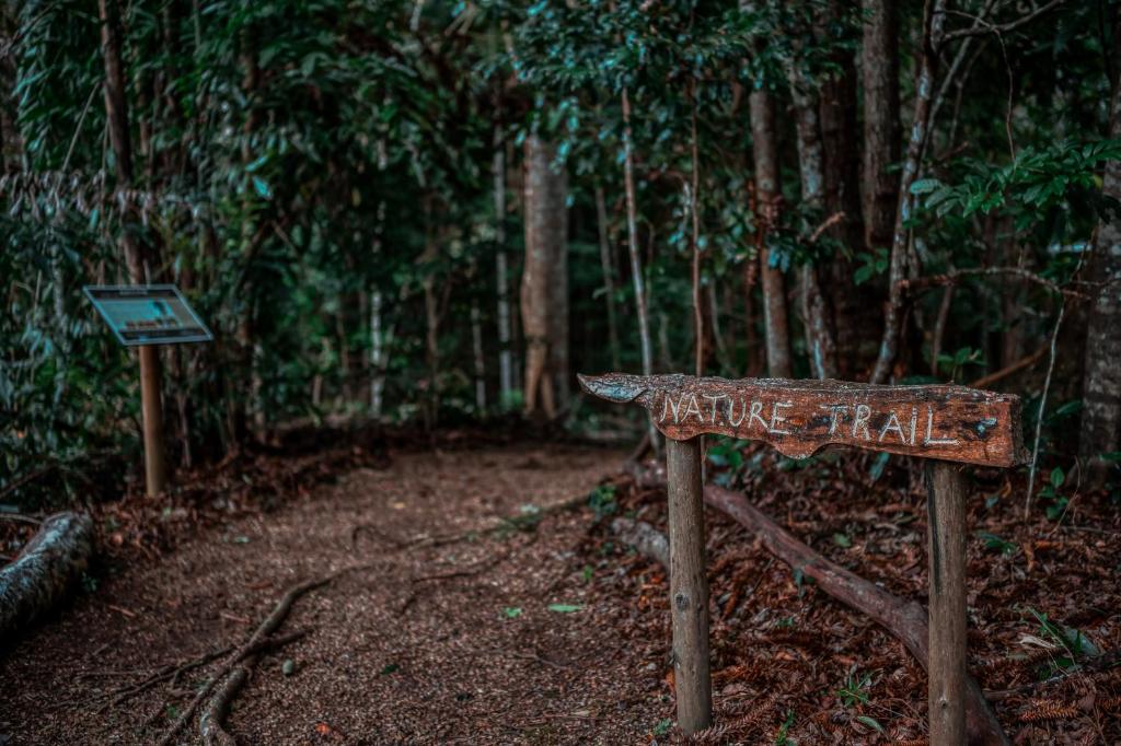 Fotografie z fotogalerie ubytování Narrows Escape Rainforest Retreat v destinaci Montville