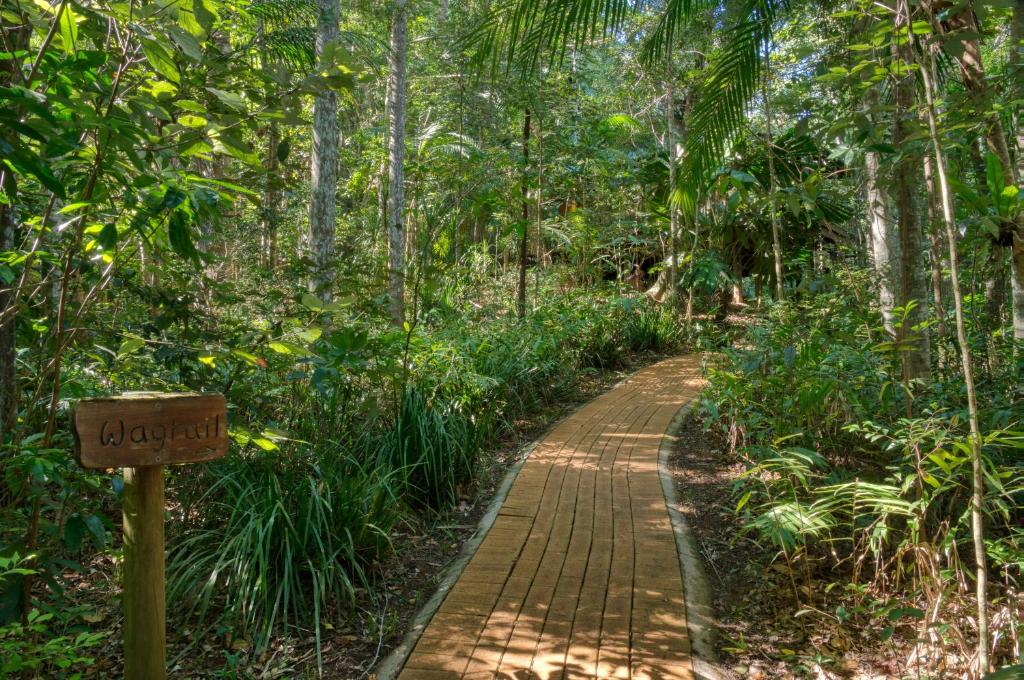 Fotografie z fotogalerie ubytování Narrows Escape Rainforest Retreat v destinaci Montville