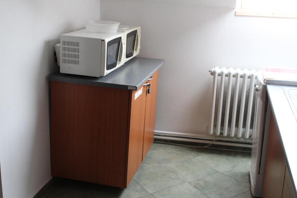 a microwave sitting on top of a wooden cabinet at Ubytování Na špejcharu, Želevčice in Slaný