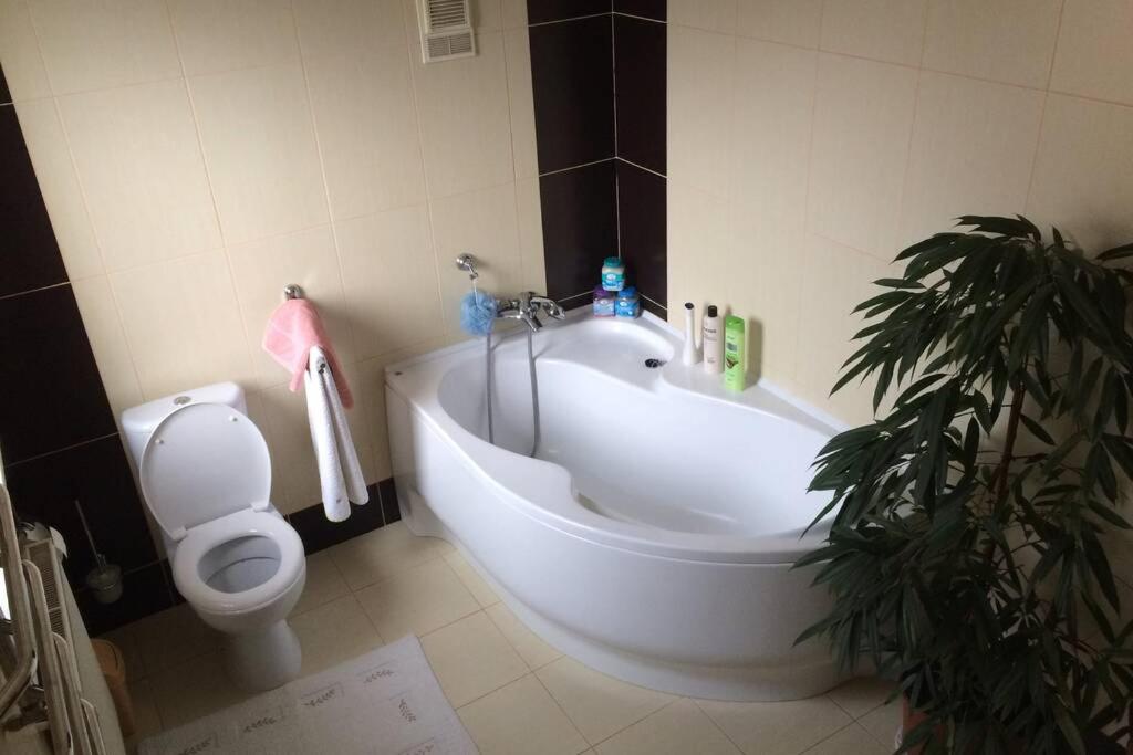 A bathroom at Apartments in a private house