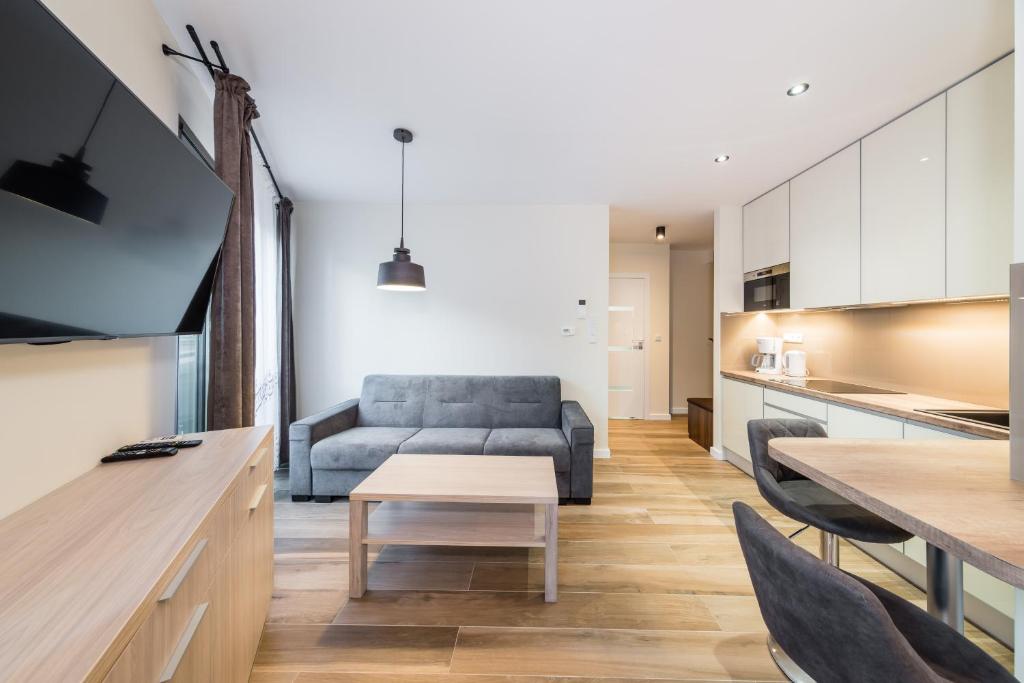 Televízia a/alebo spoločenská miestnosť v ubytovaní Deluxe Apartment Rakowicka 15 WAWELOFTS
