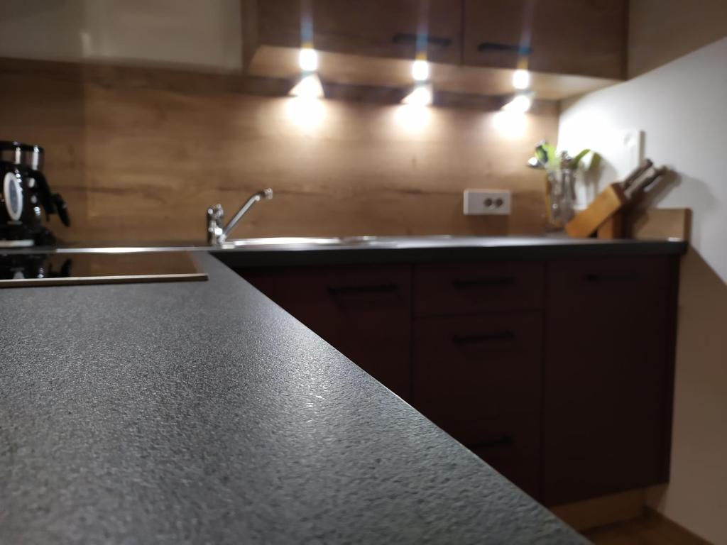Kuchyň nebo kuchyňský kout v ubytování Apartments Ban Guggugg