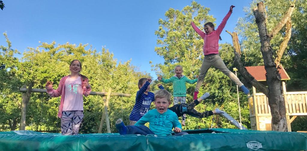 eine Gruppe Kinder, die auf einem Trampolin springen in der Unterkunft Ferienhof Utech in Wenkendorf