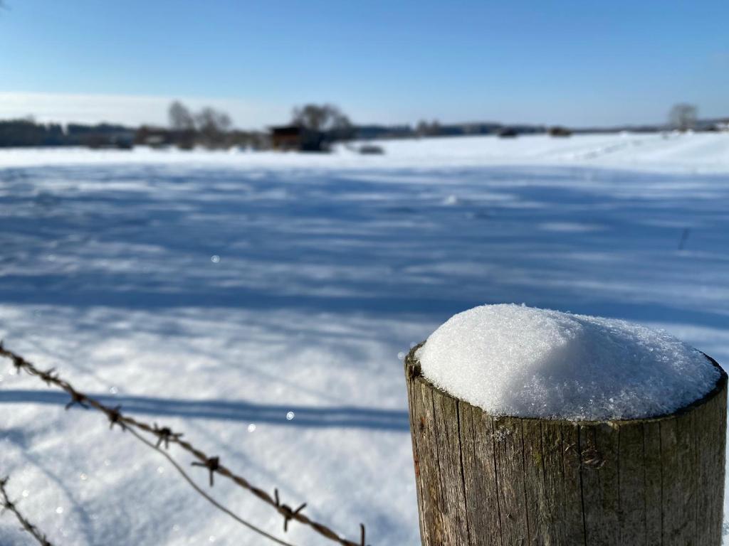 11+ 10 Ft Fence Post Wood