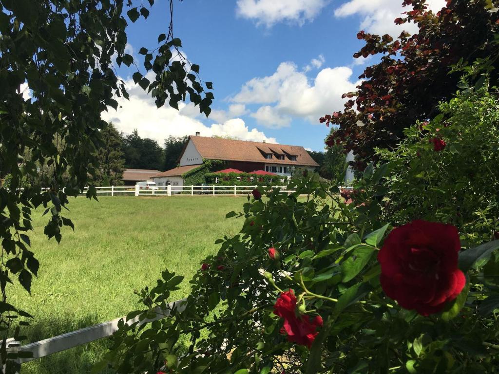 a house with a white fence and a field with roses at Hofgut Albführen in Dettighofen