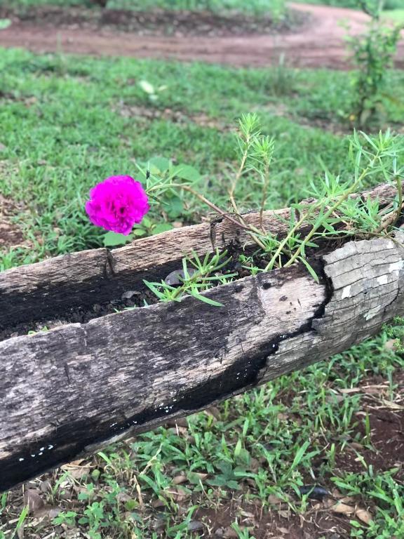  Pousada Casa Ferreira