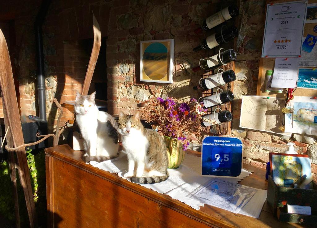 Fotografie z fotogalerie ubytování Casa Cernano v destinaci Castelnuovo Berardenga