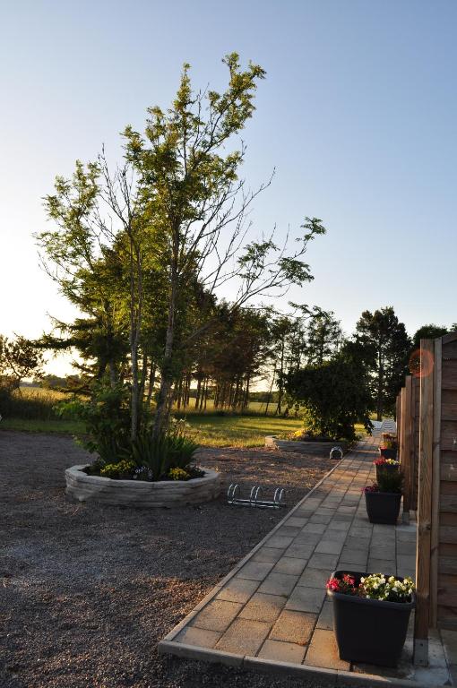 Zahrada ubytování Apartamenty Molle