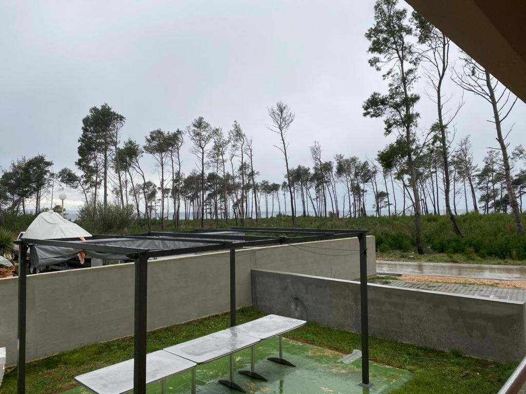 Príroda v okolí apartmánu