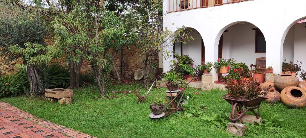 Zahrada ubytování Posada Portal de la Villa
