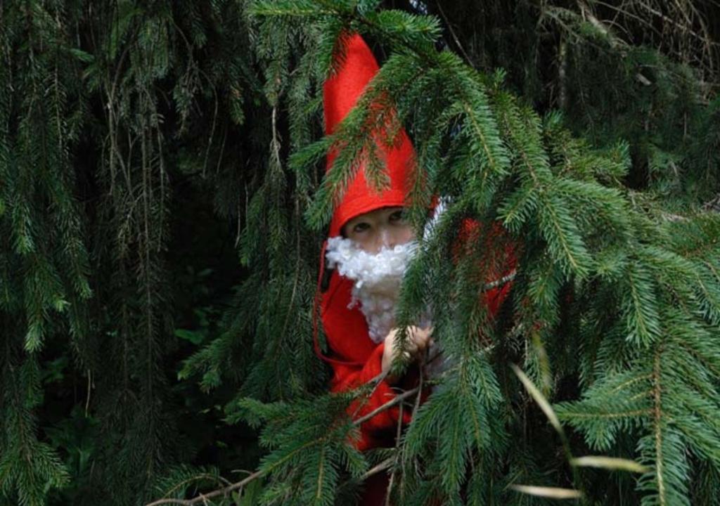 um homem numa árvore de Natal olhando através dos ramos em Hotel da Barba B&B em Asiago