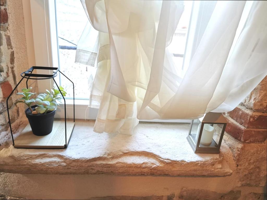Fotografie z fotogalerie ubytování House Bava v destinaci Vis