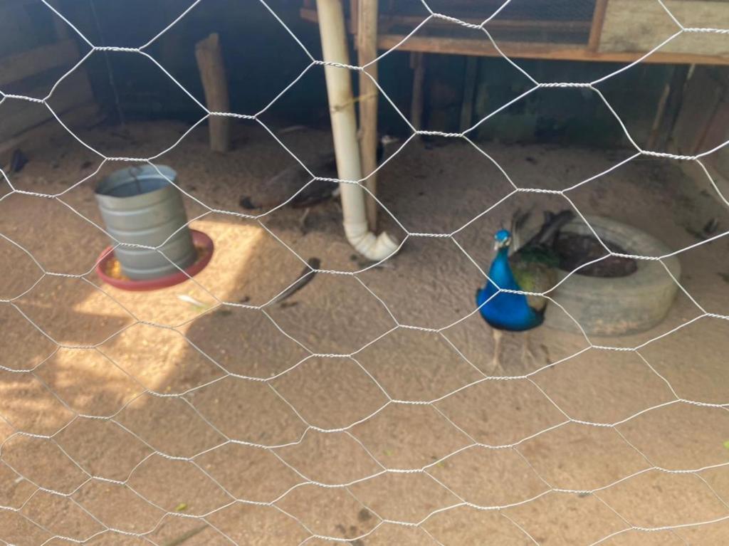  Chacara para temporada recanto da paz